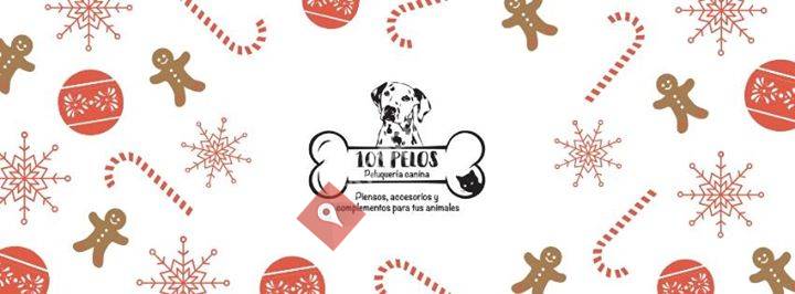 101 Pelos Peluquería Canina