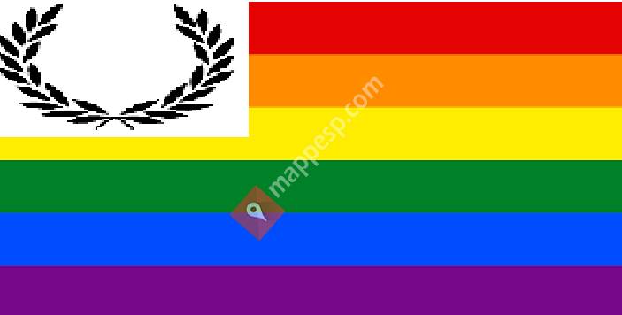 A LGBT+ page that includes asexual