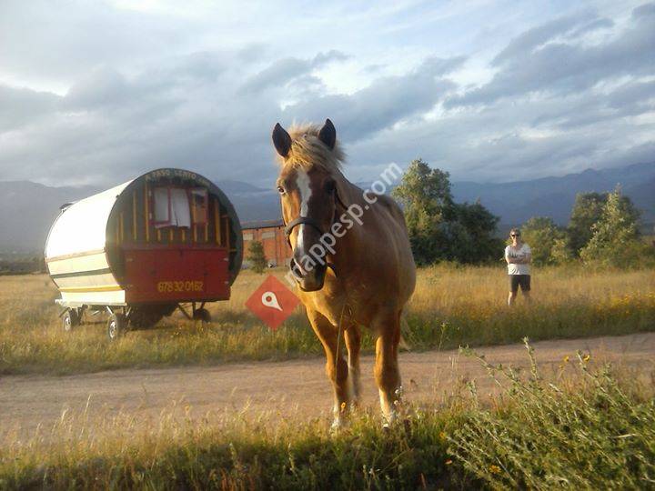 A Paso Lento