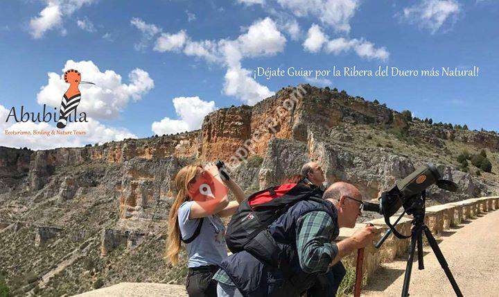 Abubilla Ecoturismo - Birdwatching & Nature Tours-