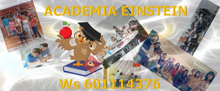 ACADEMIA EINSTEIN