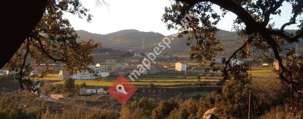 ACR de Fonollosa