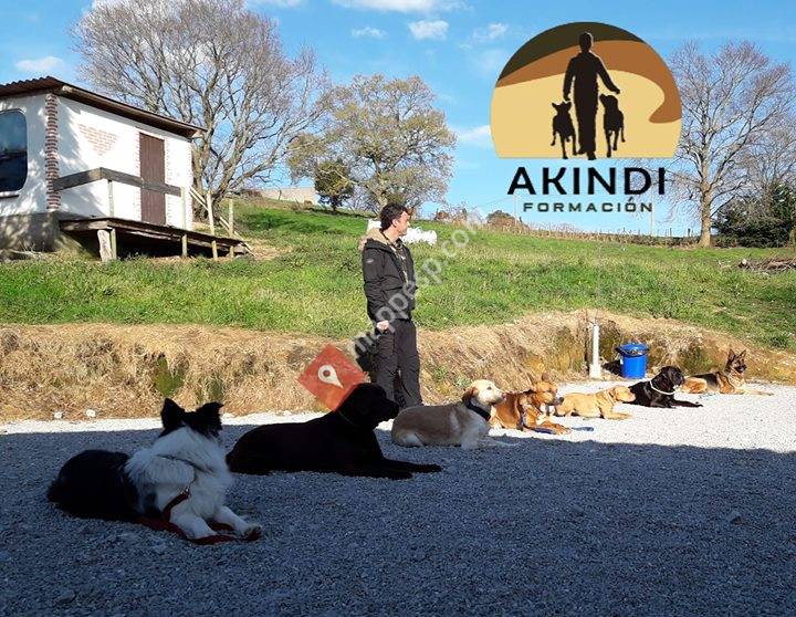 Adiestramiento canino Akindi