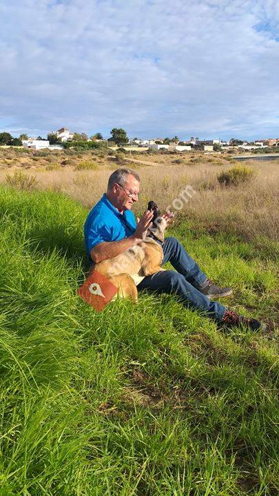 Adiestramiento Canino - Obecan