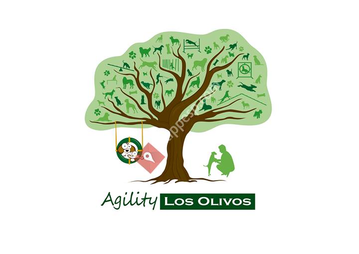 Agility los Olivos