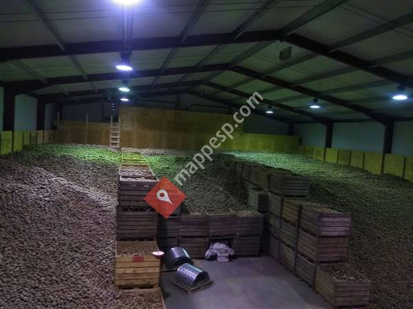 Agricola Adasol S.C