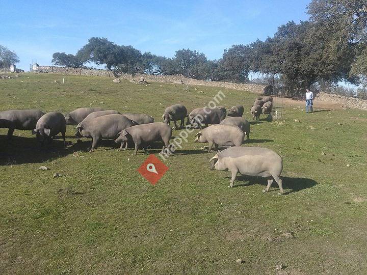Agro-Campo Rio Sillo, S.L.