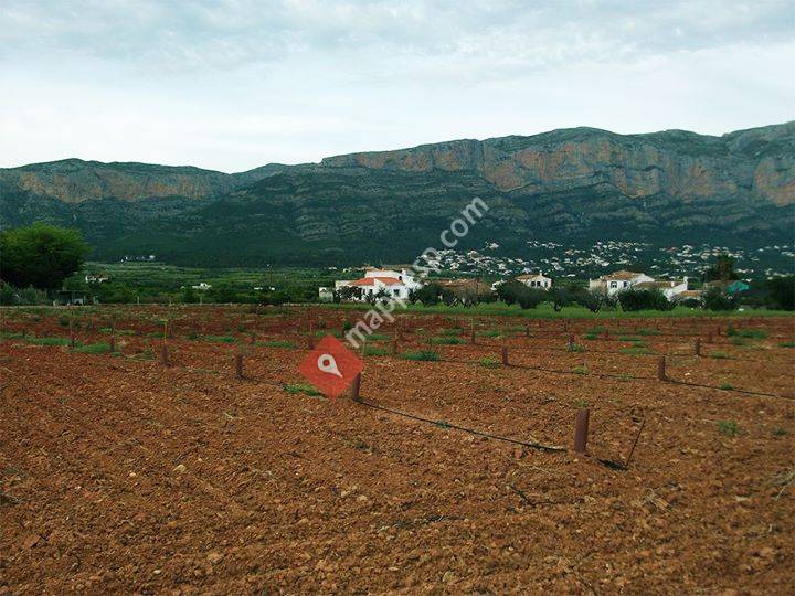 Agrogata