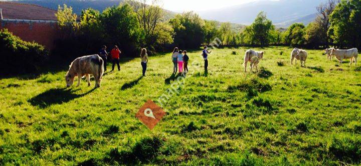 Agroturismo El Capriolo