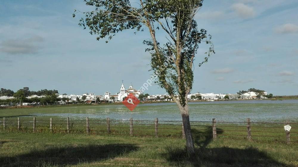 Aires de Doñana