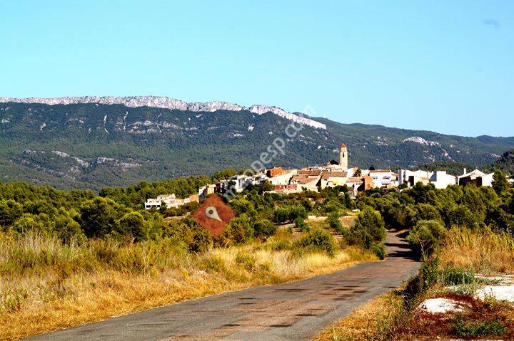 Ajuntament Els Guiamets