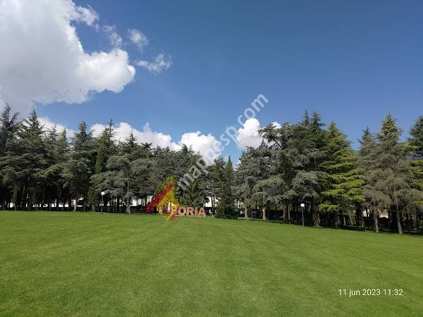 Alameda de Cervantes de Soria