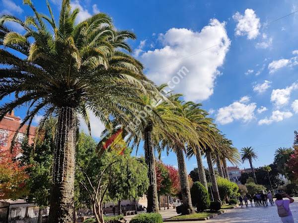 Alameda de Noia