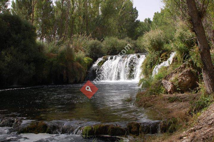 Albendea, Castilla-La Mancha, Spain