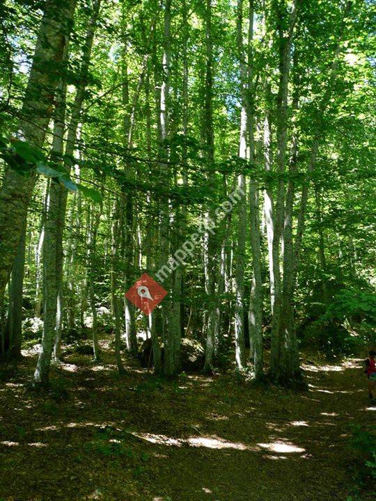 Albergue el Betato