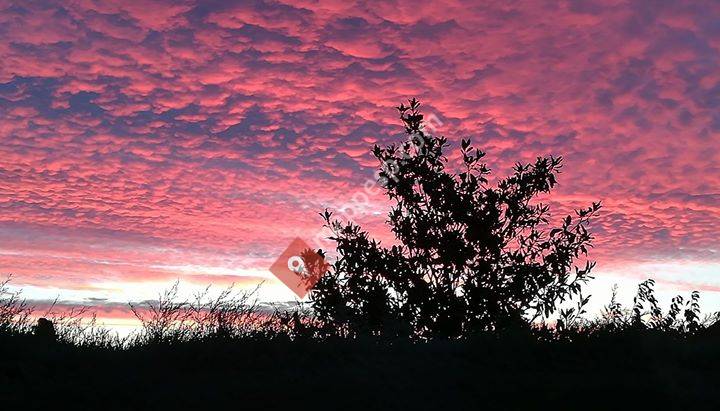 Albergue Hostel Atseden