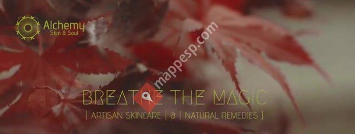 Alchemy Skin & Soul