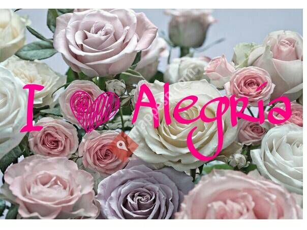 Alegría Complementos y Estética