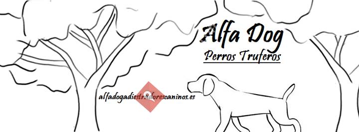 Alfa Dog Perros Truferos