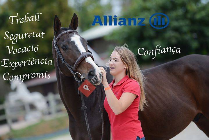 Allianz Seguros - Agencia Bertran I Pera