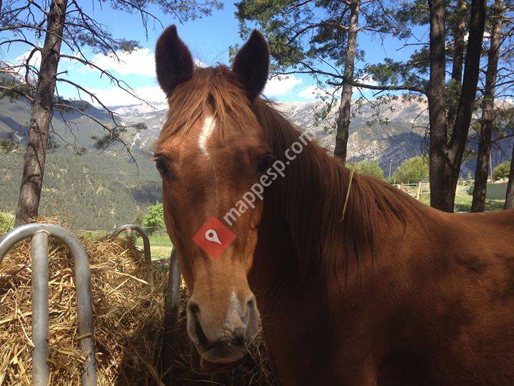 Allotjament Rural Casa de Colònies Pedraforca