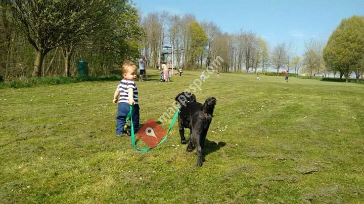 Alojamiento Paseos Cuidado de Mascotas