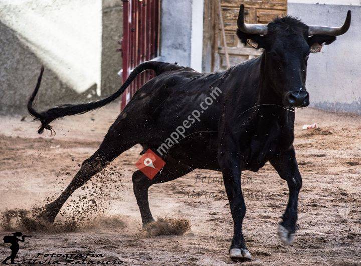 Alpartir