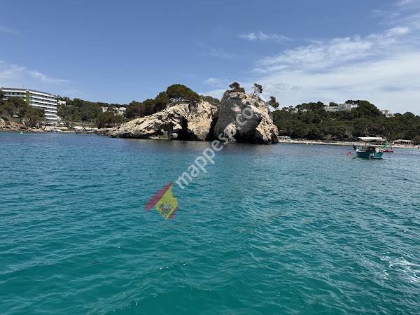 Amigo's Boat Trips