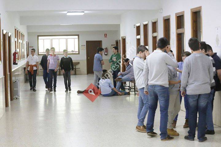 AMIGOS DEL COLEGIO SEMINARIO DE ROZAS