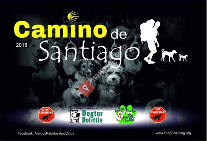 Amigos Peludos Bajo Cinca