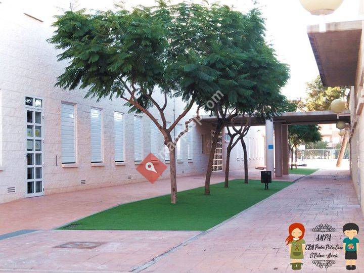 AMPA Nº7 del CEIP Pintor Pedro Cano