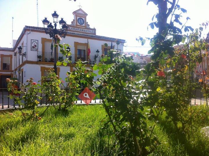 Andalucia Orienta Ayuntamiento de El Saucejo