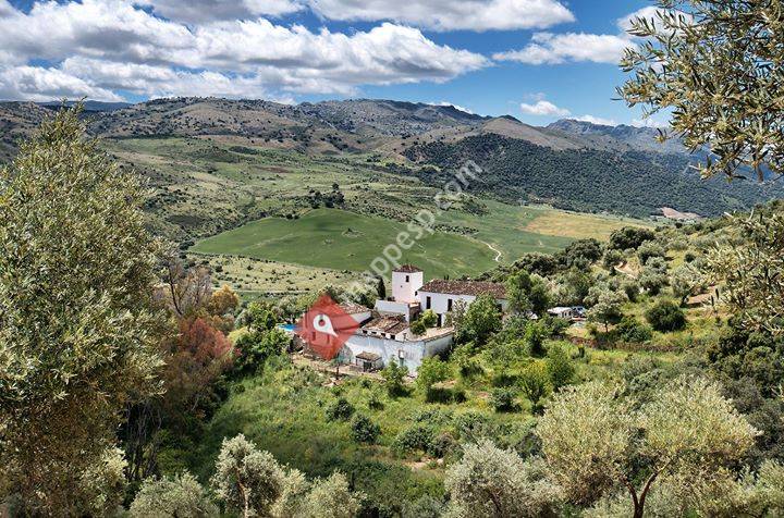 Andalucia Verde