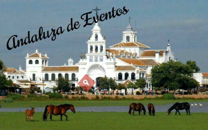 Andaluza de Eventos