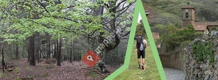 Androsela Walkers