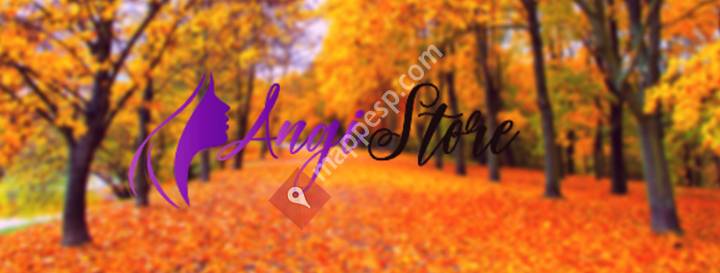 Angi Store