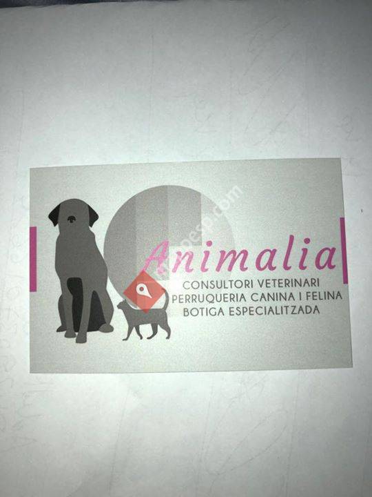 Animalia