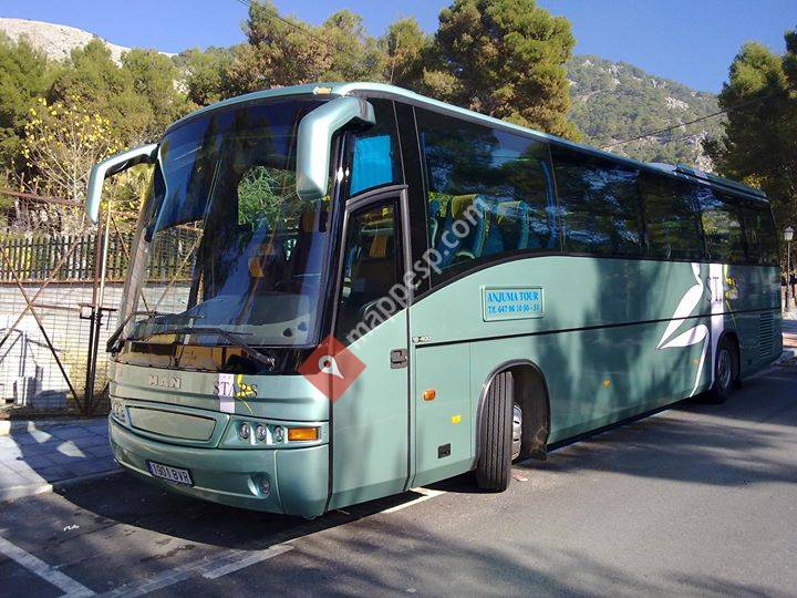 Anjuma tour