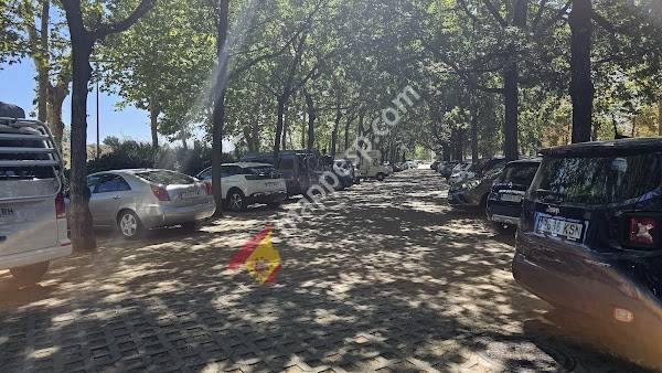 Aparcamiento gratuito de La Draga