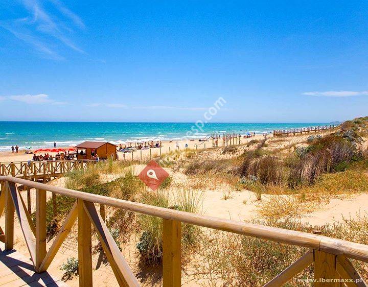 Apartament Pinada Beach - piętro 2 , apatament 207