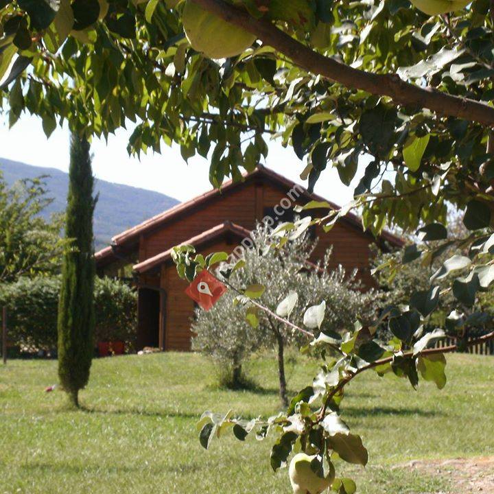 Apartamentos rurales El Rincón del Jerte