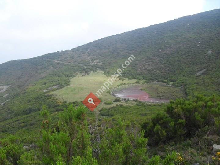 Apartamentos Rurales La Portiecha