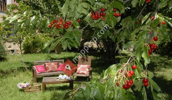 Apartamentos Rurales Los vergeles