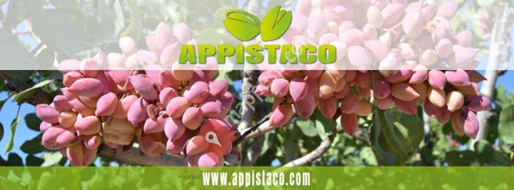 Appistaco Jaén