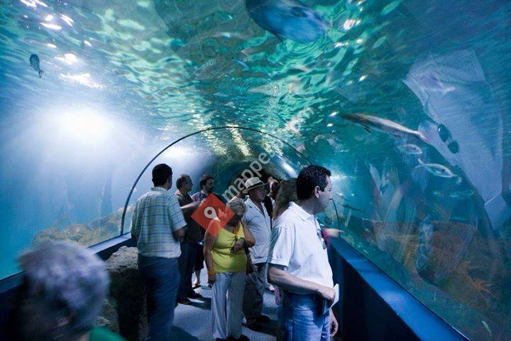 Aquadec Aquariums S.L.