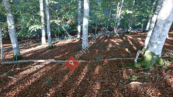 Arrieta, Navarra, Spain