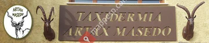 ARTAX Masedo Taxidermia