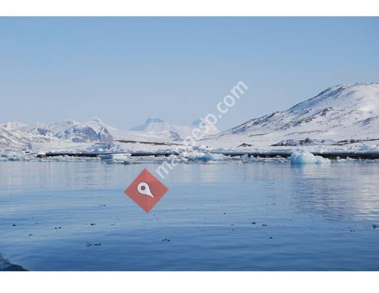 Artic Water