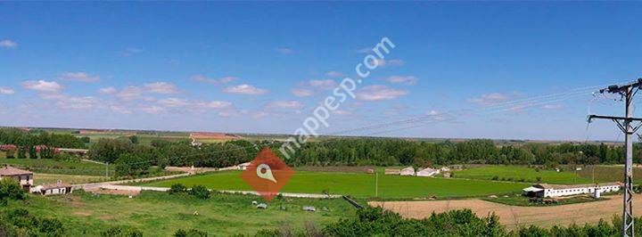 Asesoria De Campos SL