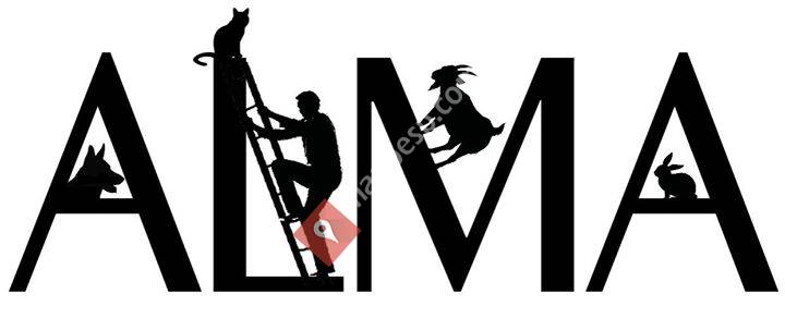 Asociación Alma - Hondón de las Nieves